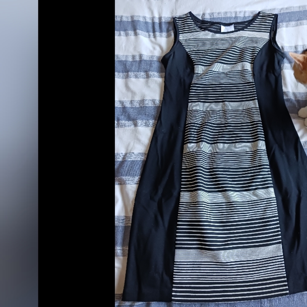 Rita DiCesare Black & White Dress